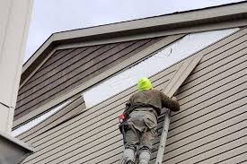 Professional Siding in Butte, MT